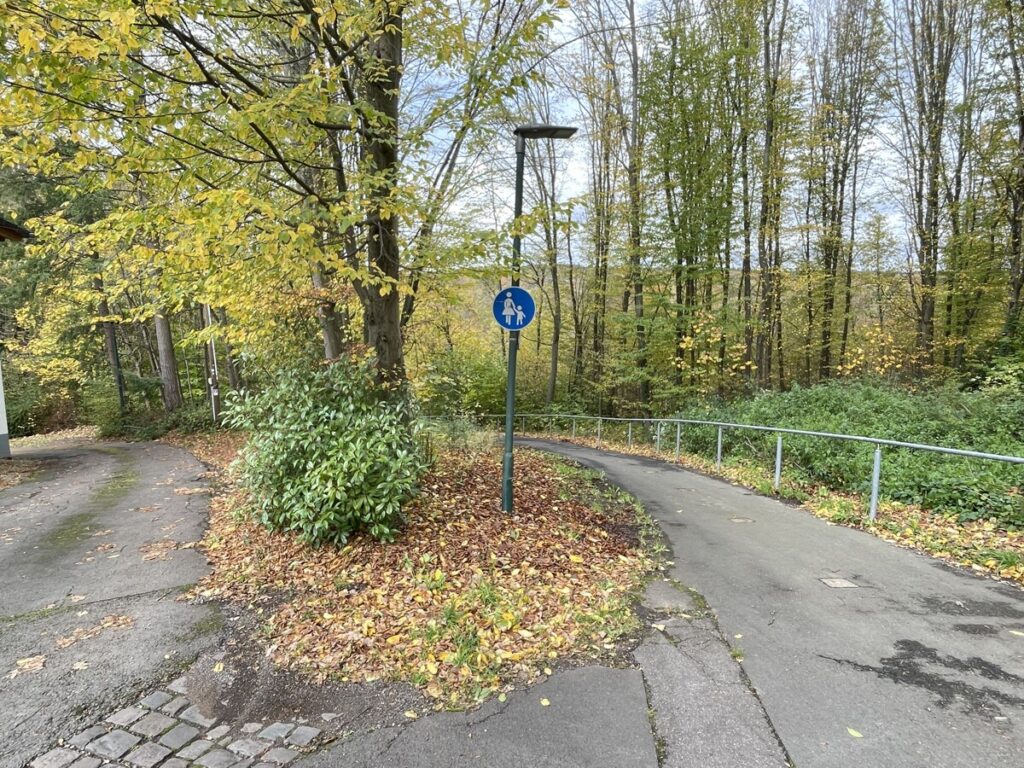 Waldrandlage