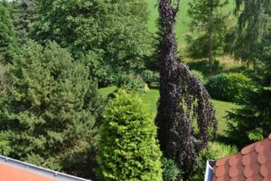 Der Blick auf den Garten
